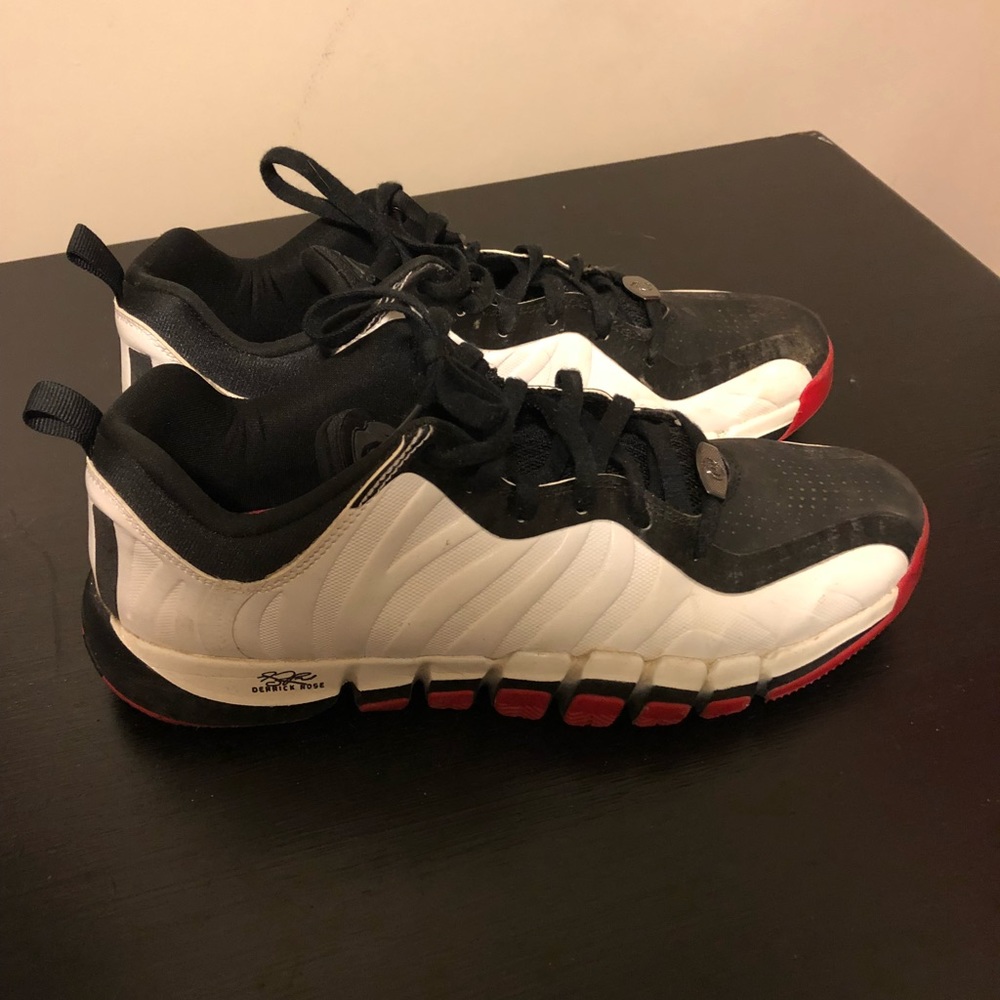 Derrick rose englewood 2